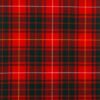 Bruce Modern Tartan Fabric