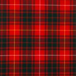 Bruce Modern Tartan Fabric