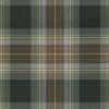 Holyrood Weathered Tartan Fabric