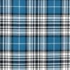 Napier Ancient Tartan Fabric