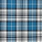 Napier Ancient Tartan Fabric