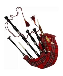 Alternative view of Scottish Bagpipe Silver Plain Mounts Black Finish Highland